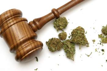 Marijuana and court gavel